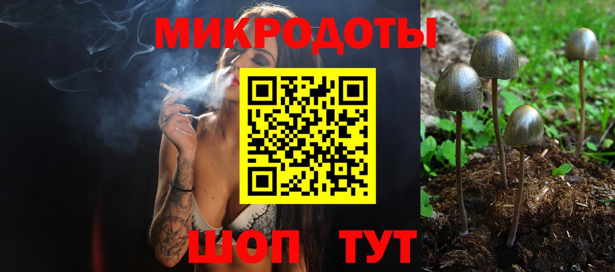 Псилоцибиновые грибы Cubensis  Галлюциногенные грибы мицелий  Зеленодольск  Вход с VPN 